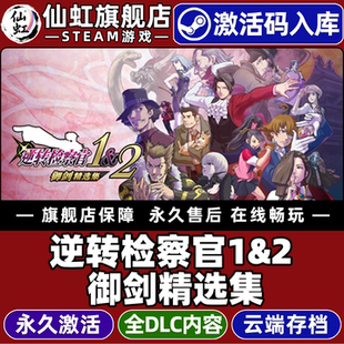 逆转检察官1&2御剑精选集 Investigations 激活码 Attorney Collection CDKey入库全球区国区游戏Ace Steam正版