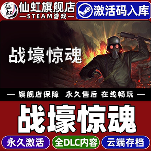 Steam正版战壕惊魂 激活码CDKey入库全球区国区CONSCRIPT: Director's Cut全DLC电脑PC单机生存恐怖一战游戏