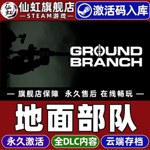 Steam正版地面部队 激活码CDKey入库全球区国区GROUND BRANCH全DLC电脑PC支持联机 军事拟真 动作射击游戏