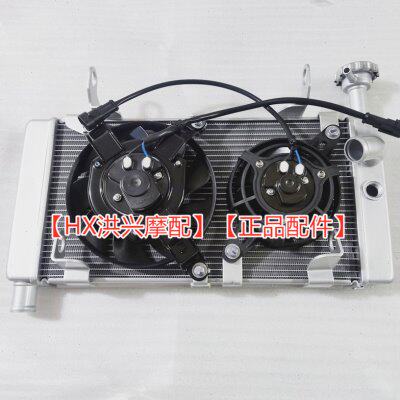 原厂追600赛600RR水箱总成QJ600GS-3A/3B发动机散热器风扇冷却箱