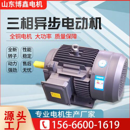 YE3三相异步电机 全铜芯国标电动机马达变频调速220V 380V 可定制