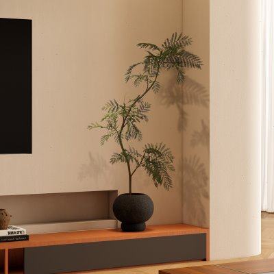 森空间电视柜旁装饰摆件蓝花楹软装好物室内客厅原木风格美陈摆设