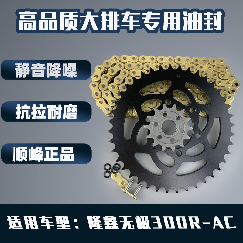 适用隆鑫无极300R-AC改装提速牙盘提力链轮油封静音彩色链条套链