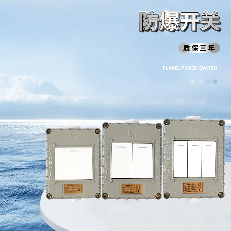 防爆开关国标86型开关控制器插座单双三四开明装暗装墙壁工程防水