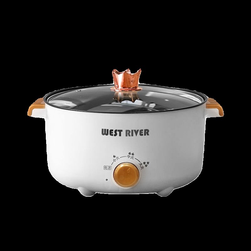 德国家用电煮锅宿舍小电锅电炒蒸煮一体锅电炒锅一体多功能电火锅