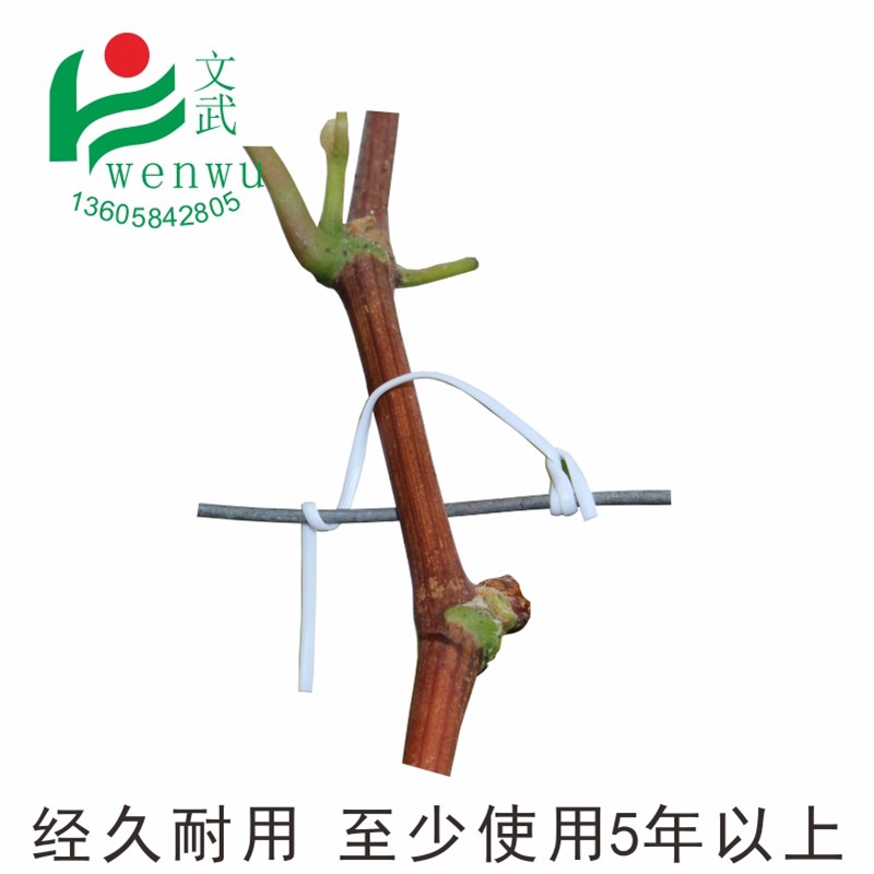 葡萄扎丝绑丝扁0.7 12厘米一万条园林绑枝塑铁丝扎藤蔓枝条 扎丝