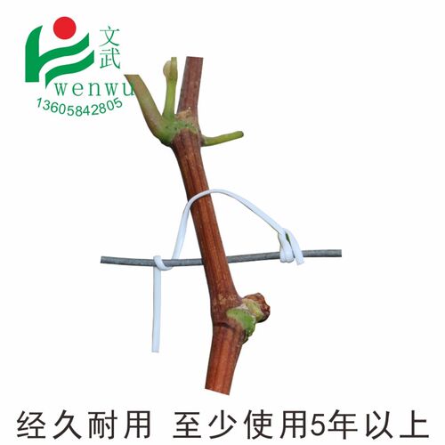 葡萄扎丝绑丝扁0.7  12厘米一万条园林绑枝塑铁丝扎藤蔓枝条 扎丝