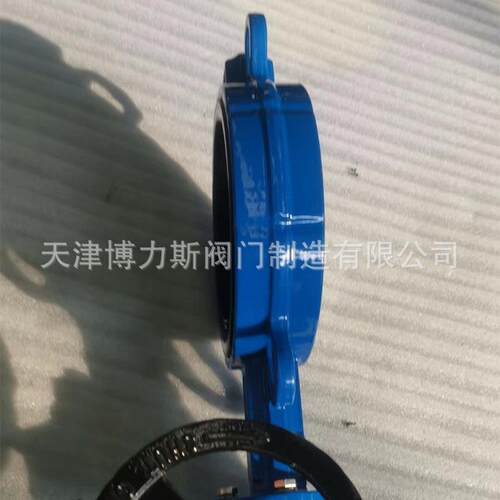 铸钢/球墨体 手动涡轮软密封对夹蝶阀D371X 橡胶/四氟密封