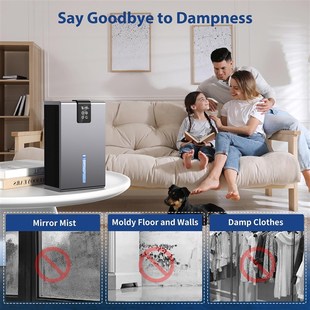 跨境除湿机家用吸湿室内回南天抽湿烘干潮空气净化器dehumidifier