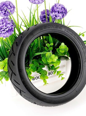 适用于4Ultra电动滑板车250*64自修复果冻胶防刺液耐用真空胎