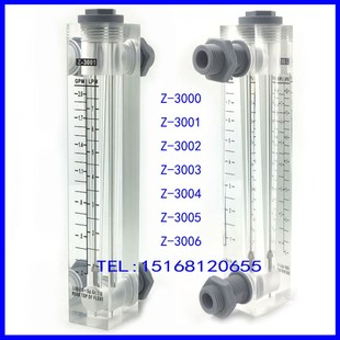 3002 3003 3004 3006 余姚振兴流量计Z 3005 3001