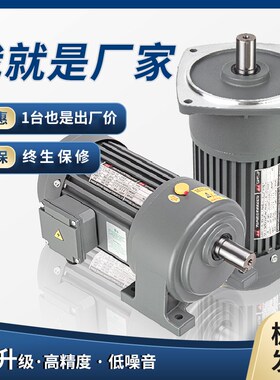 卧式立式齿轮减速电机CHGV200W400W750W调速变频刹车小金刚减速机