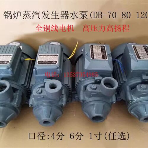 电热锅炉蒸汽发生器补水泵 高压旋涡泵1/2DB-70 3/4DB-80 1DB-120
