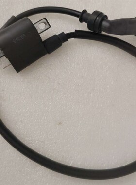 龙嘉LJ300 VMAXie300维多利亚150 XDV250si高压包点火线圈高压帽