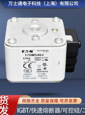 熔断器170M5458 170M5459 170M5460 170M5461 170M5462 170M5463