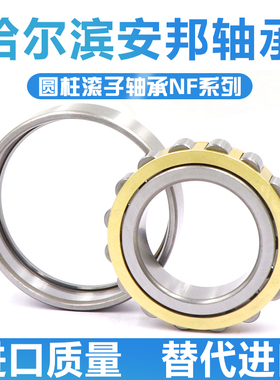 哈尔滨圆柱滚子轴承 NF 304 305 306 307 308 309 EM