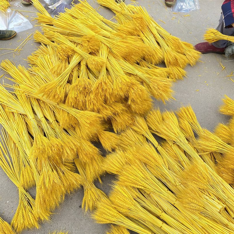 麦穗大麦花束开业大大麦丰收厂家直销礼品拍摄道具干花大麦厂家批