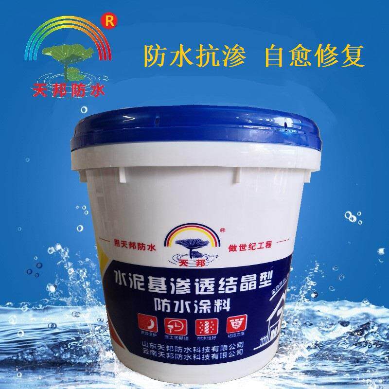 水泥基渗透结晶型防水涂料桥梁隧道大坝机场跑道混凝土基面防水