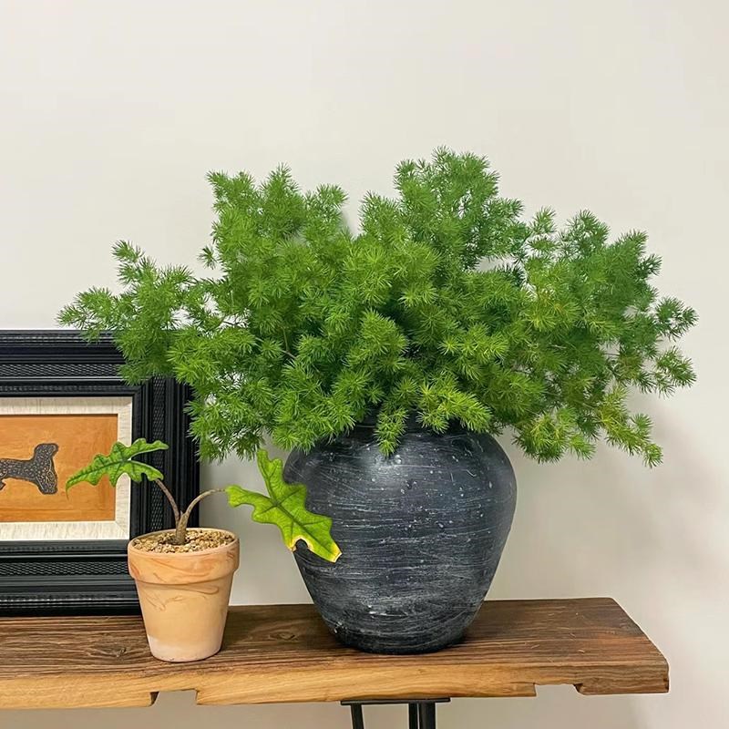 蓬莱松鲜花放青松花束室内水培花卉家用插花鲜切花云南基地直发