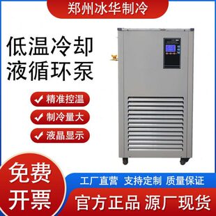5L10L20L恒温槽制冷机 低温冷却液循环泵实验室数显DLSB