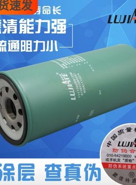 612630080087精滤WBF220 BF9817 1117050B81DM柴油滤芯1000422382