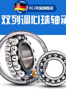 德国进口ECJ2313 1613TVH调心球轴承内径65mm外径140mm厚度48mm