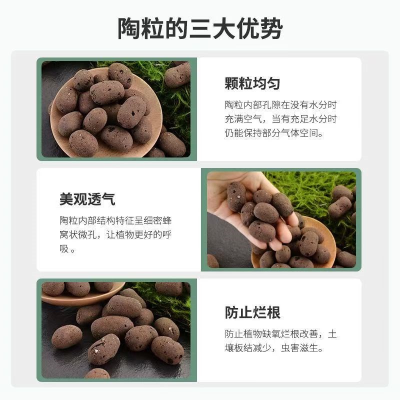 园艺专用陶粒花盆铺面垫底陶土防虫F防烂根兰花多肉水培卫生间回