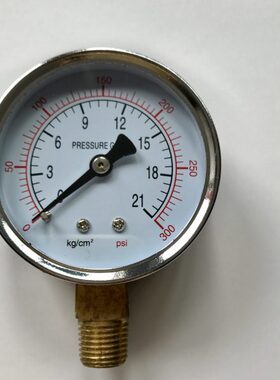 压力表 y-60 径向 0-21kg/cm2 ~300psi 表壳直径60mm 螺纹pt1/4
