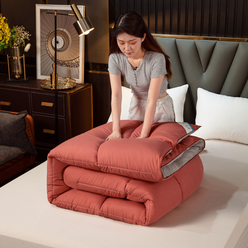 羽绒被白鹅绒被子冬被十斤加厚保暖春秋被鸭绒被被芯学生宿舍冬季