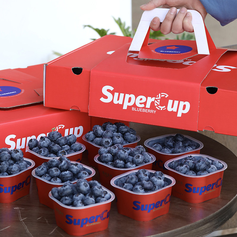 云南L25花香蓝莓SuperCup蓝莓杯当季高山甜蓝莓孕妇水果整箱包邮,水产肉类/新鲜蔬果/熟食,蓝莓,淘宝优惠券,粉丝福利购,淘宝优惠卷