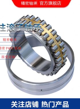 nn3060kw33p5 圆柱滚子轴承 分度盘球轴承 减速器轴承