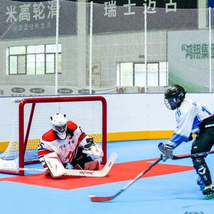 专业轮滑球球门陆地冰球球门旱地冰球运动专用门含球网