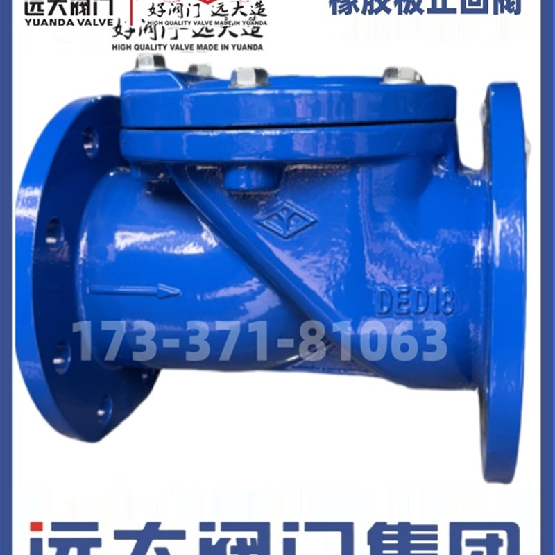 河北元大阀橡胶瓣止回阀H44X-16Q给排水法兰Dn80100150200