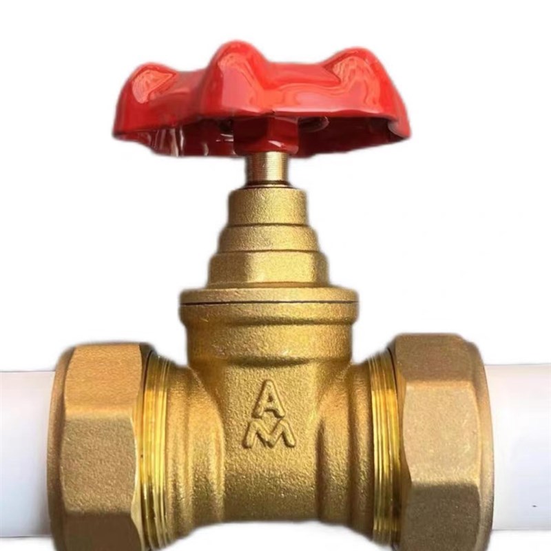 埃美柯PPR闸阀双活接de20热熔接口25阀门32加厚ppr的