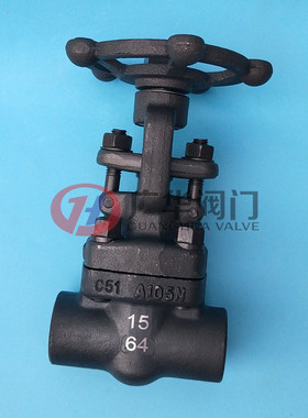 A105锻钢承插焊闸阀Z61H-64C插焊式高压明杆手动闸阀温州广华阀门