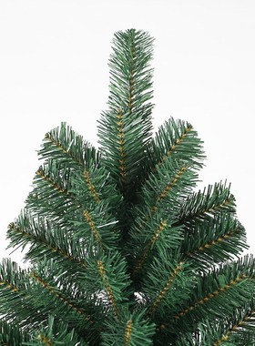 多规格圣诞树 户外居家装饰圣诞摆件 180cmPVC绿色V加密普通圣诞