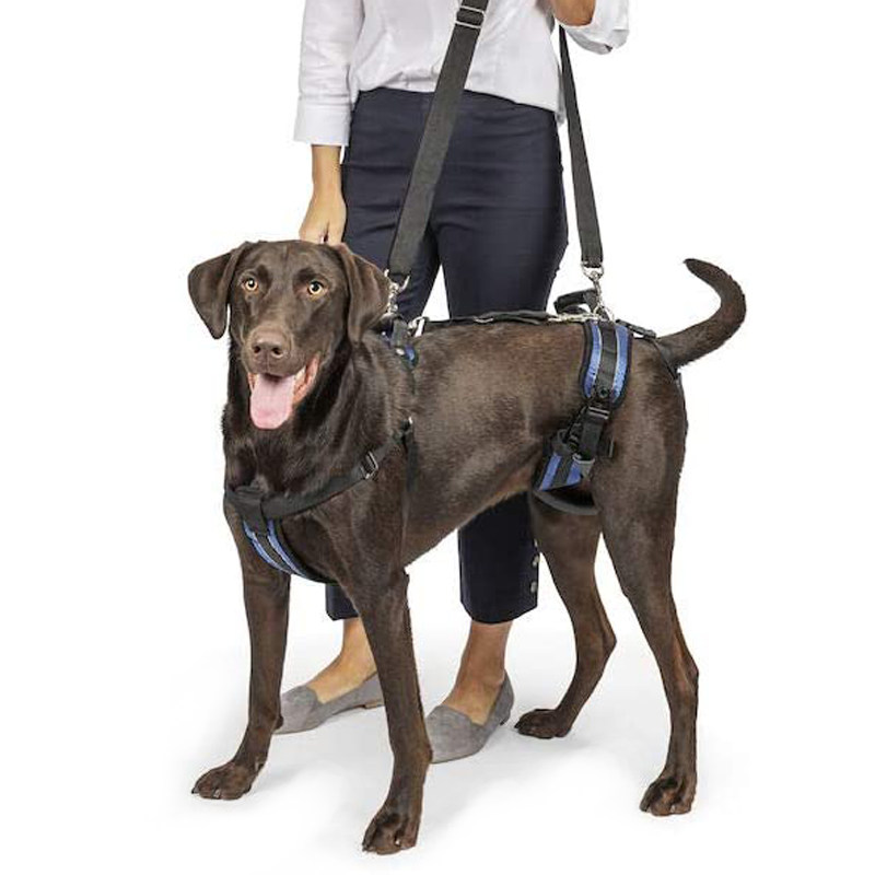 宠sol安vit特物辅助带老年犬上下楼关节受伤残疾犬前后肢手提牵引