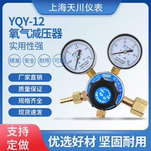 天川牌YQY系列上海减压器氧气减压器调压器调压阀气体压力表