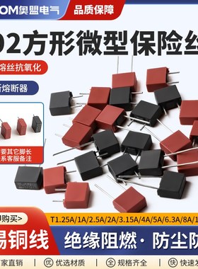 392方形保险丝 250V保险管 慢断 T 1A 2A 3.15A 4A 5A 6.3A 8.5*4