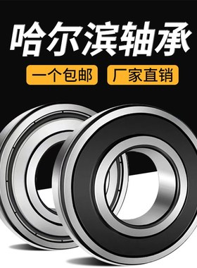 哈尔滨轴承6217 6218 6219 6220 6221 6222 6224 6226 2Z 2RS