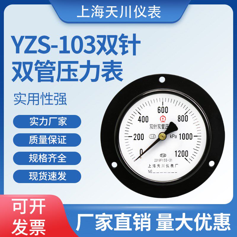 轴向双针双管压力表YZS-103上海天川仪表厂汽修火车铁轨路徽标志