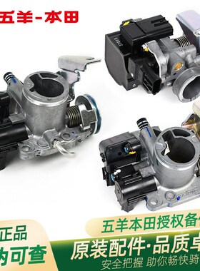 五羊本田新优悦 新优酷 睿御 睿影 睿镁 雅志 喜悦110 原厂节气阀