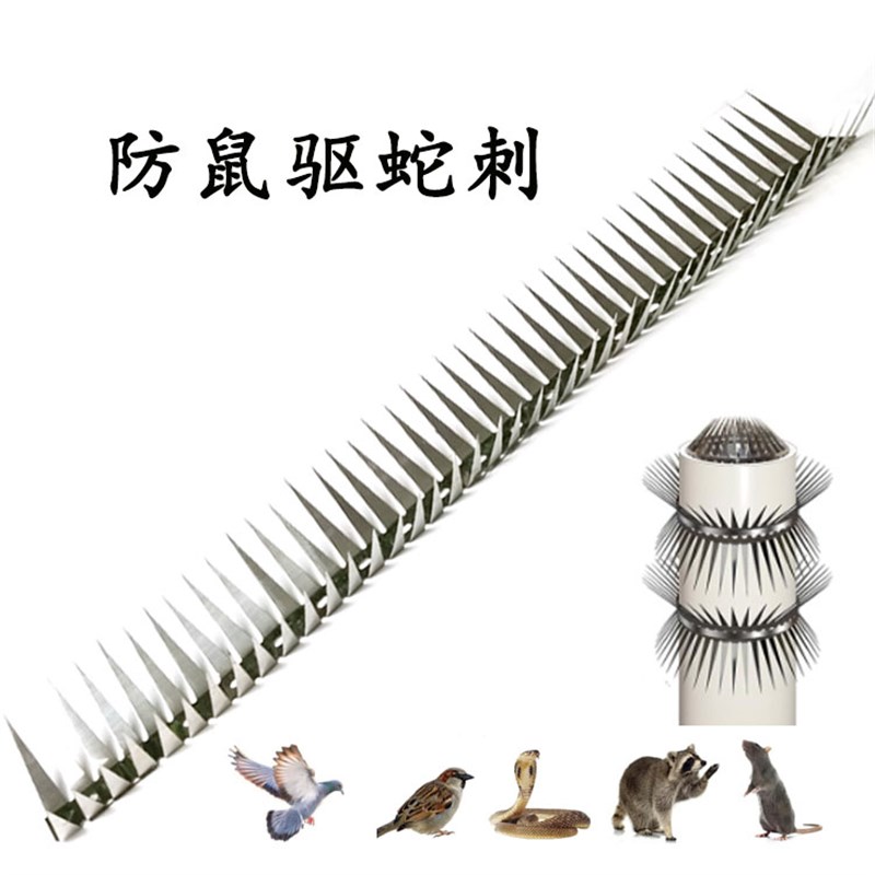 全新304不锈钢防猫刺 防鼠刺 防蛇刺 防鼬鼠 防爬刺钉驱猫刺钉图片