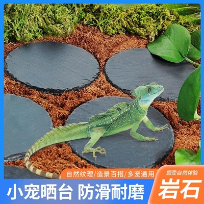 爬虫守宫蜥蜴岩石板岩石盘陆龟垫材磨爪保湿爬宠岩板饲养箱笼子用