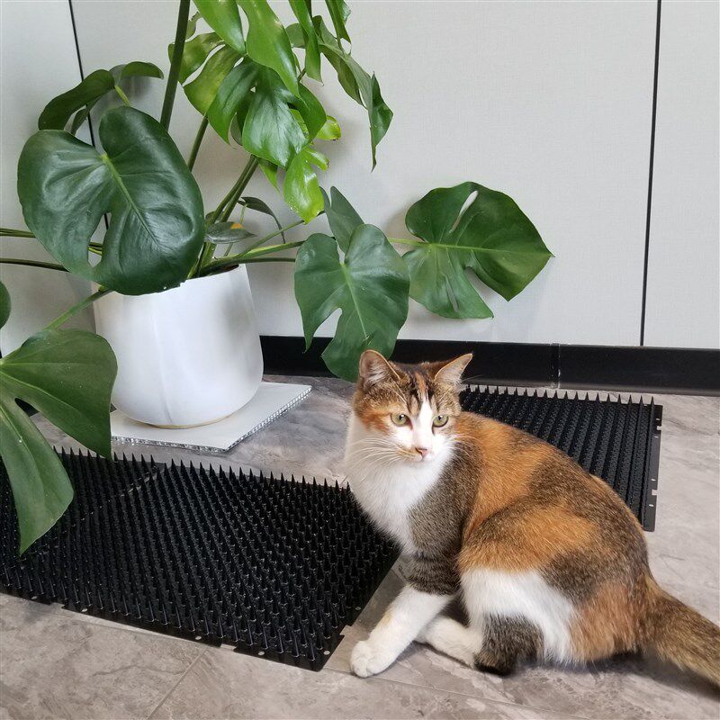 黑色防猫刺钉 驱猫防狗简单平铺沙发防猫刺垫 双人床防止猫咪乱尿图片