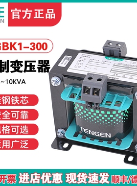 天正TGBK1-300VA隔离机床控制变压器交流380 220变220 110 36 24V