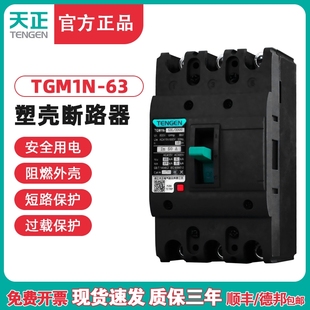 3300 63A塑壳断路器3P 40A TENGEN天正电气 50A 63L 32A TGM1N