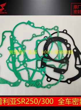 比亚乔VESPA300GTS300X7SR250维多利亚300全车垫大修垫缸垫大修包