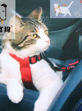 TRIXIE遛猫绳猫牵引猫链子胸背带专用背心式猫咪车载用工字型