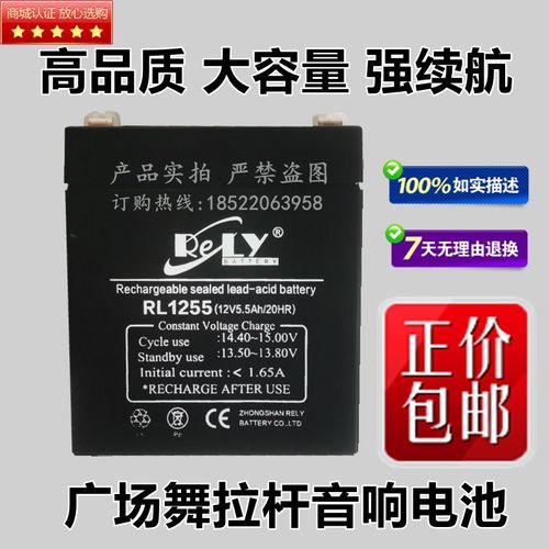 RELY蓄电池 RL1255 12V5.5AH/20HR 音响 卷帘门 广场舞放歌电池